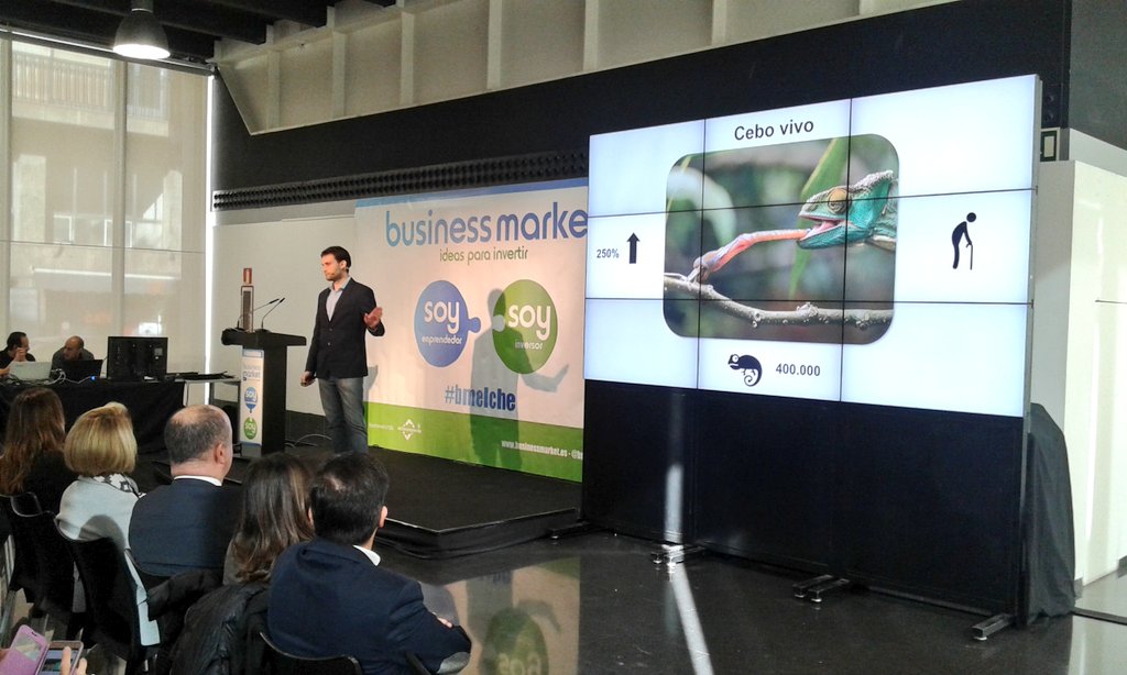 ceeielche's tweet photo. Proyecto 2 - @insectside #insectside #Bmelche @businessmarket_ https://t.co/q2cId7WxhN
