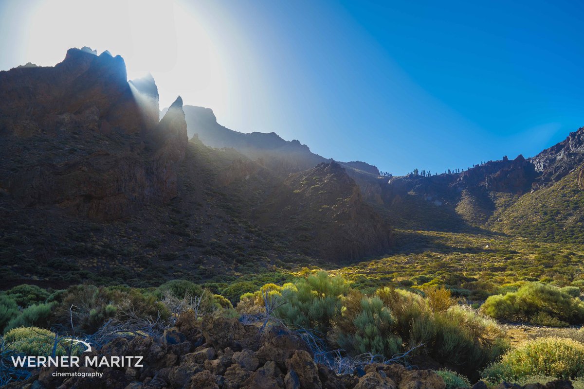 Beautiful morning light in the mountains. #mountains #goodmorning