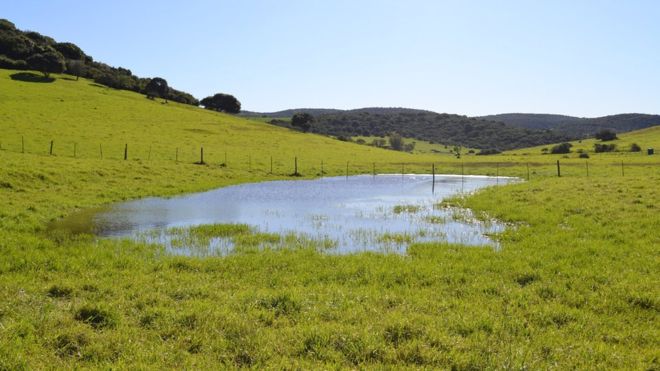 UNEP's tweet photo. Seasonal wetlands are being lost to future generations as a result of poor land-use practices: https://t.co/tXGkFopRxH 📷T.DALU https://t.co/cucdCQvRij