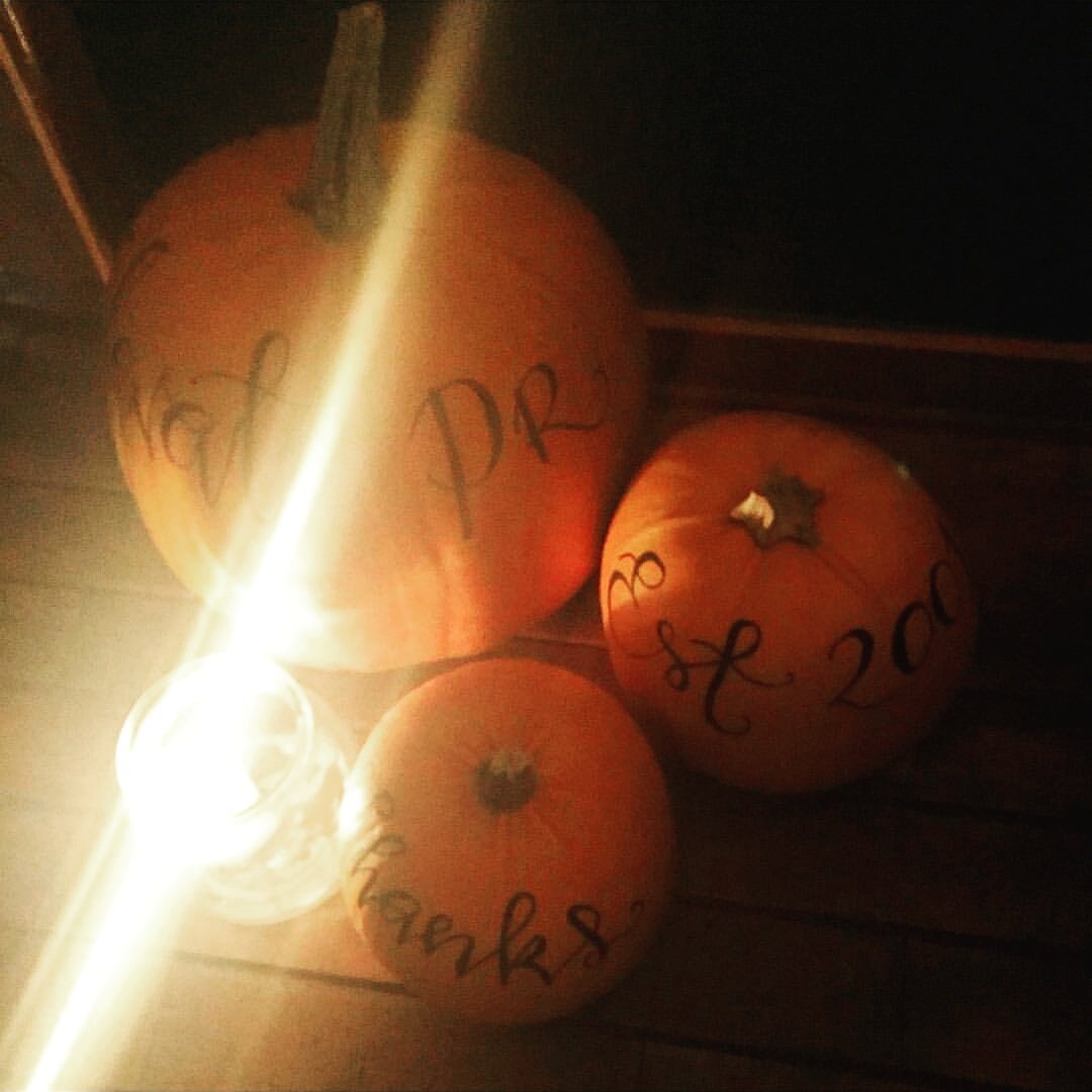 #thanksgiving over for 2016 and officially the end of the pumpkin season! This year I'm thankful for everything!