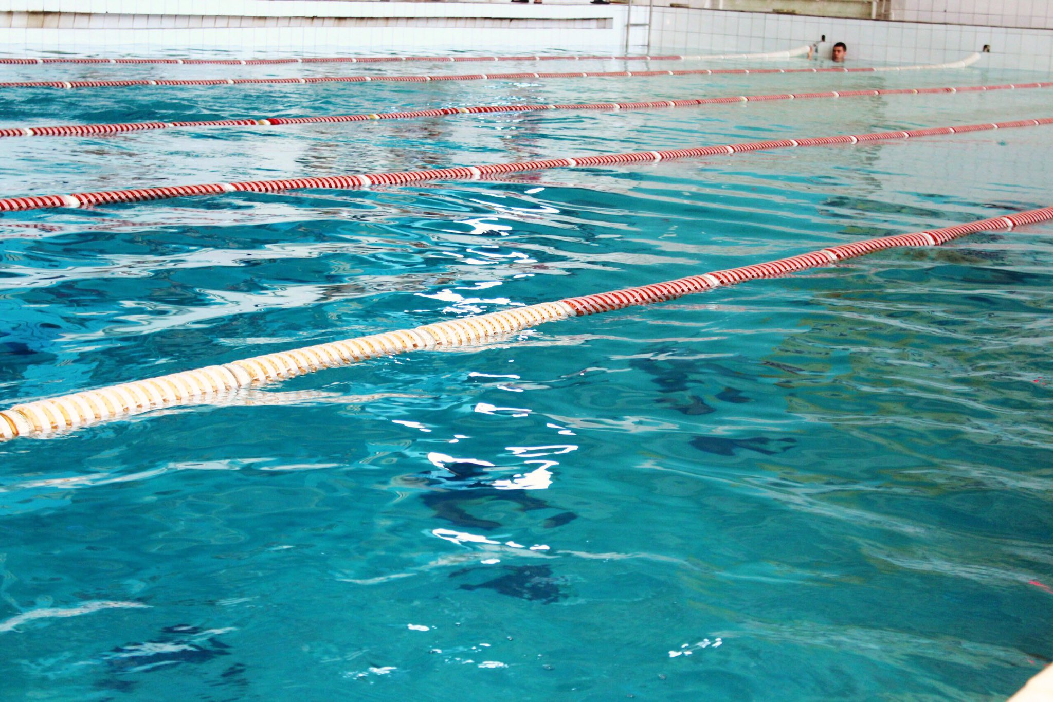 Флай Парк on Twitter: "🏊🏼‍♀️Fly Park побывал в гостях бассейна "Гарт" 🏅 ...