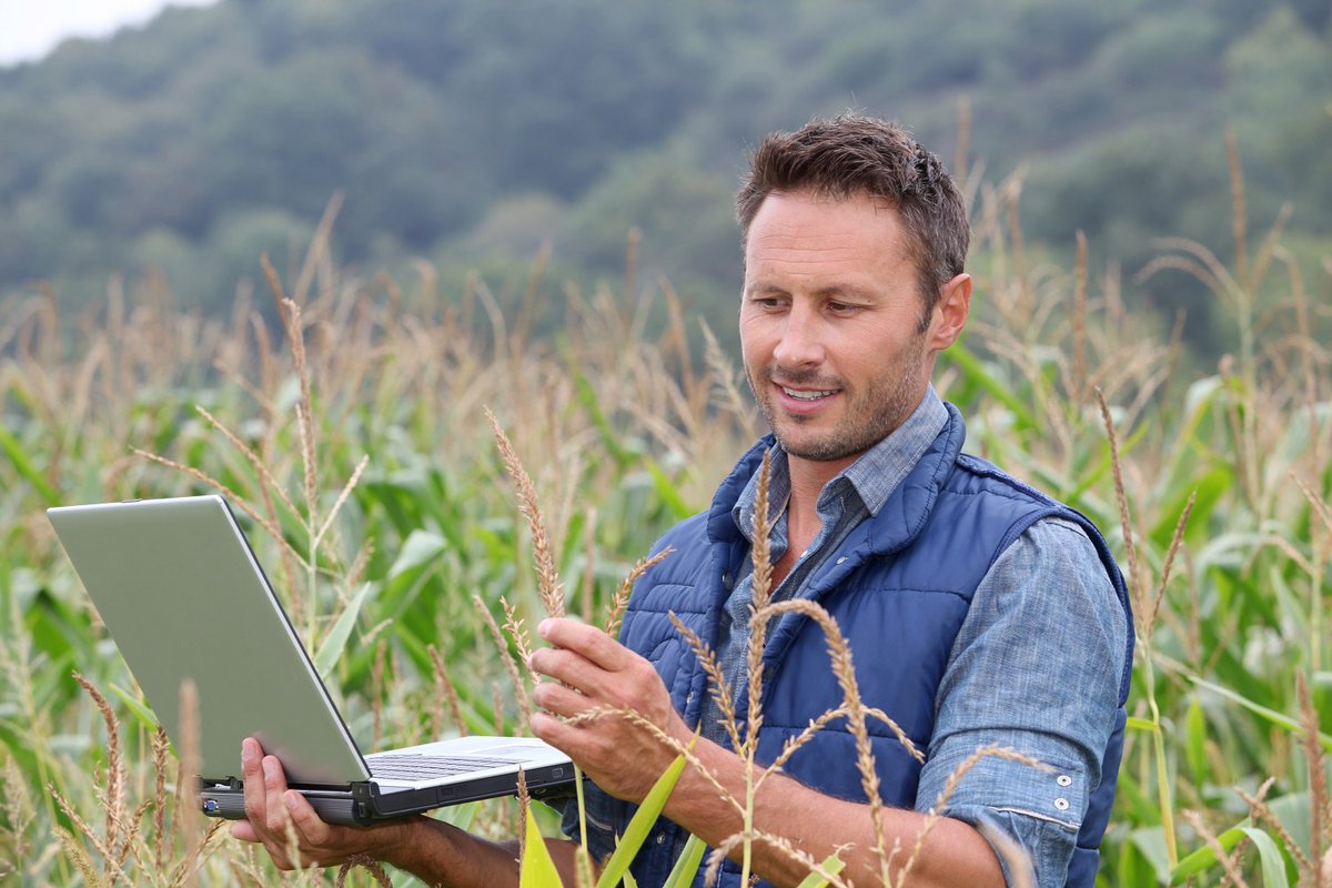 PortalFruticola's tweet photo. ¿Tienes una idea innovadora que ayudará al desarrollo agrícola? Postula a AgroStart https://t.co/yD8nIJu1NW https://t.co/BKwaNw7Bwl