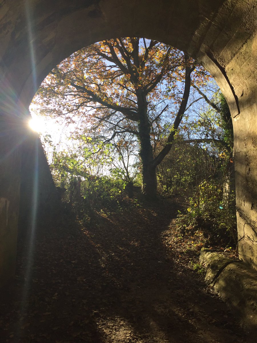Avoiding all the #blackfriday hoohaa and escaping to the woods for a bit.