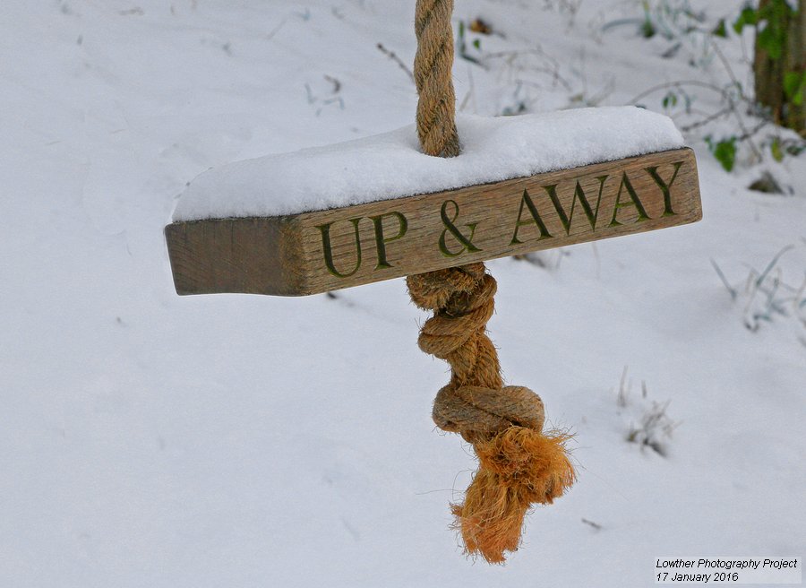 Lowther Castle & Gardens tweet media