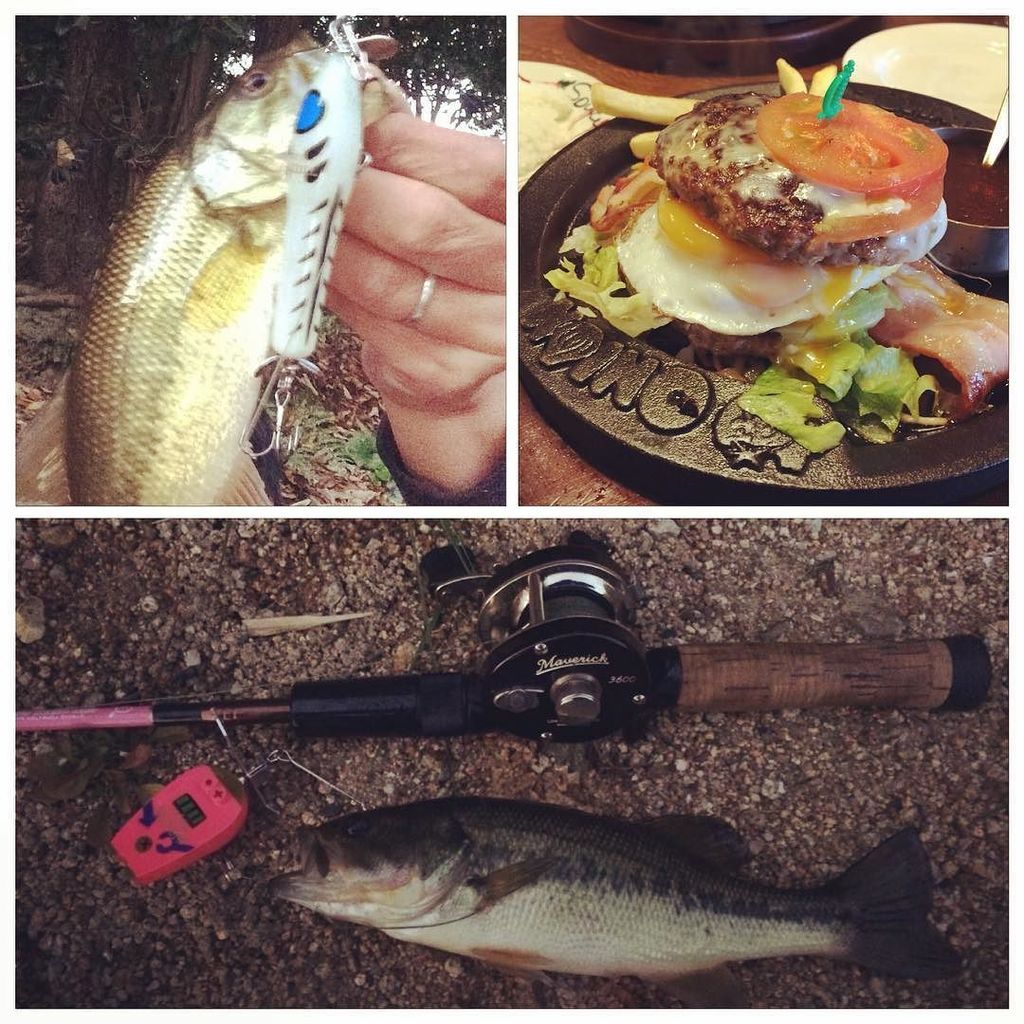 cha_chan1011's tweet photo. 本日、義父の墓参りしたのでご褒美フィッシュ&メガトンバーグ♡#frogproducts #robelson #トマト&オニオン#岡山 https://t.co/1Hz254Hc2G https://t.co/68VMakH34A