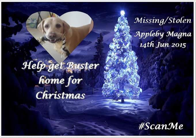 LisaLisaw1's tweet photo. 💔 Please RT #FindBuster #MissingDog 14.06.15 #ApplebyMagna #Leicestershire #ScanMe #NeverGiveUp @Findbuster 💔 #GetMeHomeForChristmas https://t.co/Y71O817JFz