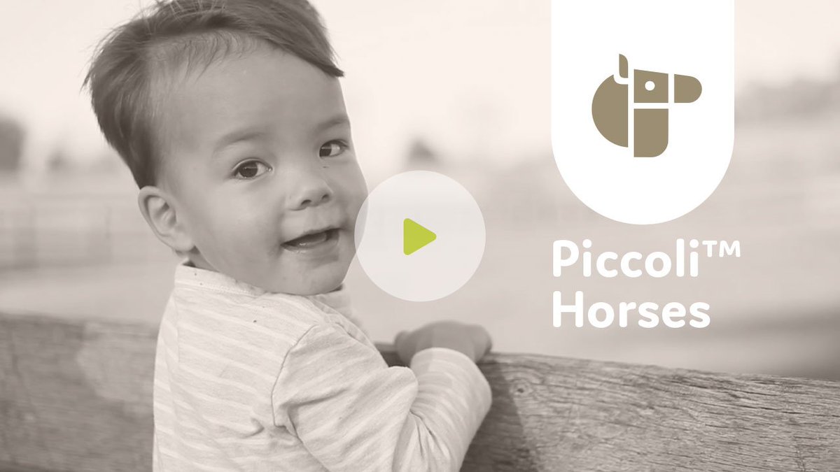 How do we help kids learn to talk with active playing? Check it out now! youtube.com/watch?v=BLYNf7…
#piccolihorses #toy #education #parenting