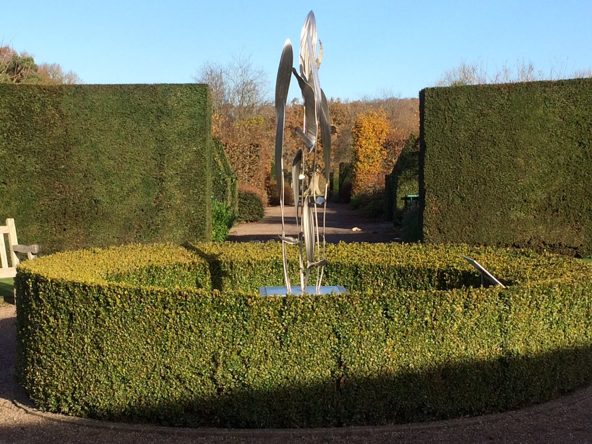 RHS_Rosemoor's tweet photo. Glorious sunny day to walk round Rosemoor's sculpture and holly trails. Stay for the evening illuminations, Xmas shopping &amp; simple suppers. https://t.co/AXrTqnhLFI