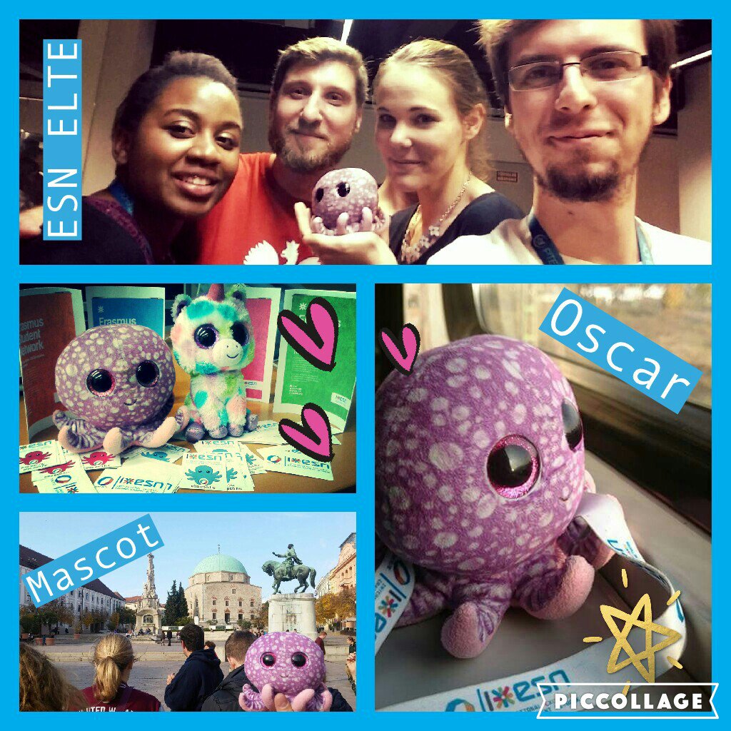 esnelte's tweet photo. Meet our section's #mascot Oscar! He has 8 arms , just like our university has 8 faculties ;) #esntales #esnelte https://t.co/I5m43qmCLf