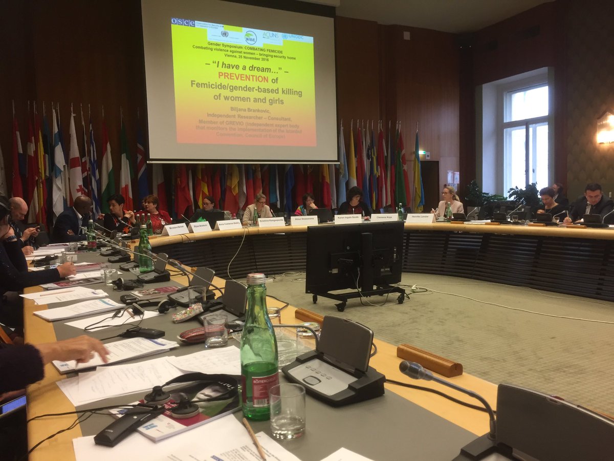 Finland_OSCE's tweet photo. Combating violence against women today on @OSCE agenda. Highly important and serious topic #Femiside #16DaysOfActivism https://t.co/I8gMKOR0oS