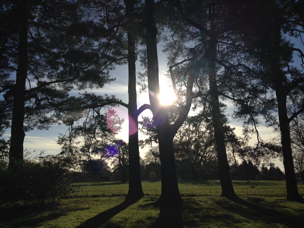 faithhelenb's tweet photo. #buynothingday - filling my bucket @WestonbirtArb thanks for the tip @BillHybels #gls2016 https://t.co/n5fVXRLJtl