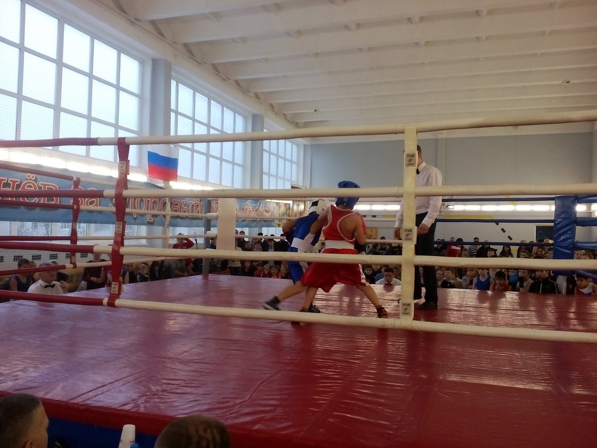 school_2_venev's tweet photo. Первые поединки первенства. https://t.co/VWcZEwlLnZ