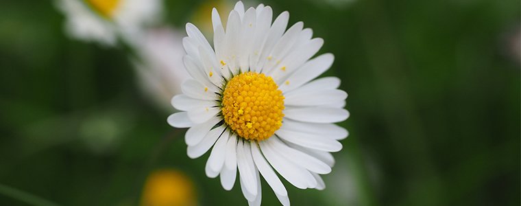 Gardening super hacks!..

ow.ly/lYvB301U1c8

#Blog #Property #Garden