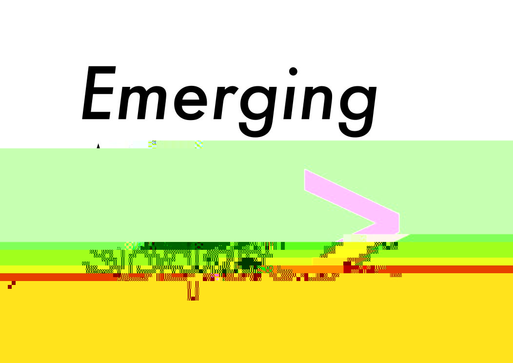 ems_westminster's tweet photo. Learning to glitch with @hellocatfood at @uw_mad https://t.co/bZow782YHP