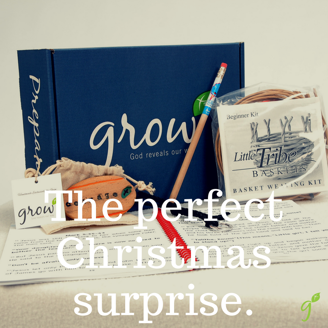 GodRevealsOurWy's tweet photo. The perfect Christmas surprise. Learn more at https://t.co/XLuCopsQdH #getgrowbox #Christmas #shopping https://t.co/c5cJG2lGTg