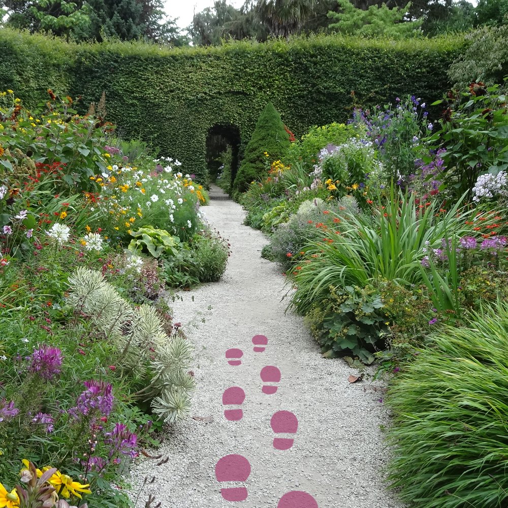 StrongRootsIRL's tweet photo. Looking for a place to stretch the legs this weekend? We love @mount_usher followed by tea in one of its wonderful cafes! #StrongTip 🌺 https://t.co/hFhovYvEBa