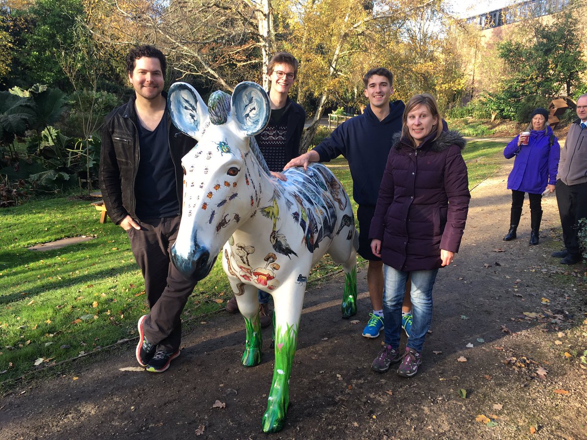 Zebraversity has been released into her home in Valley Gardens <a href="/unisouthampton/">University of Southampton</a> <a href="/SotonBioBlitz/">SotonBioBlitz</a> <a href="/ZanyZebras2016/">Marwell's ZanyZebras</a>