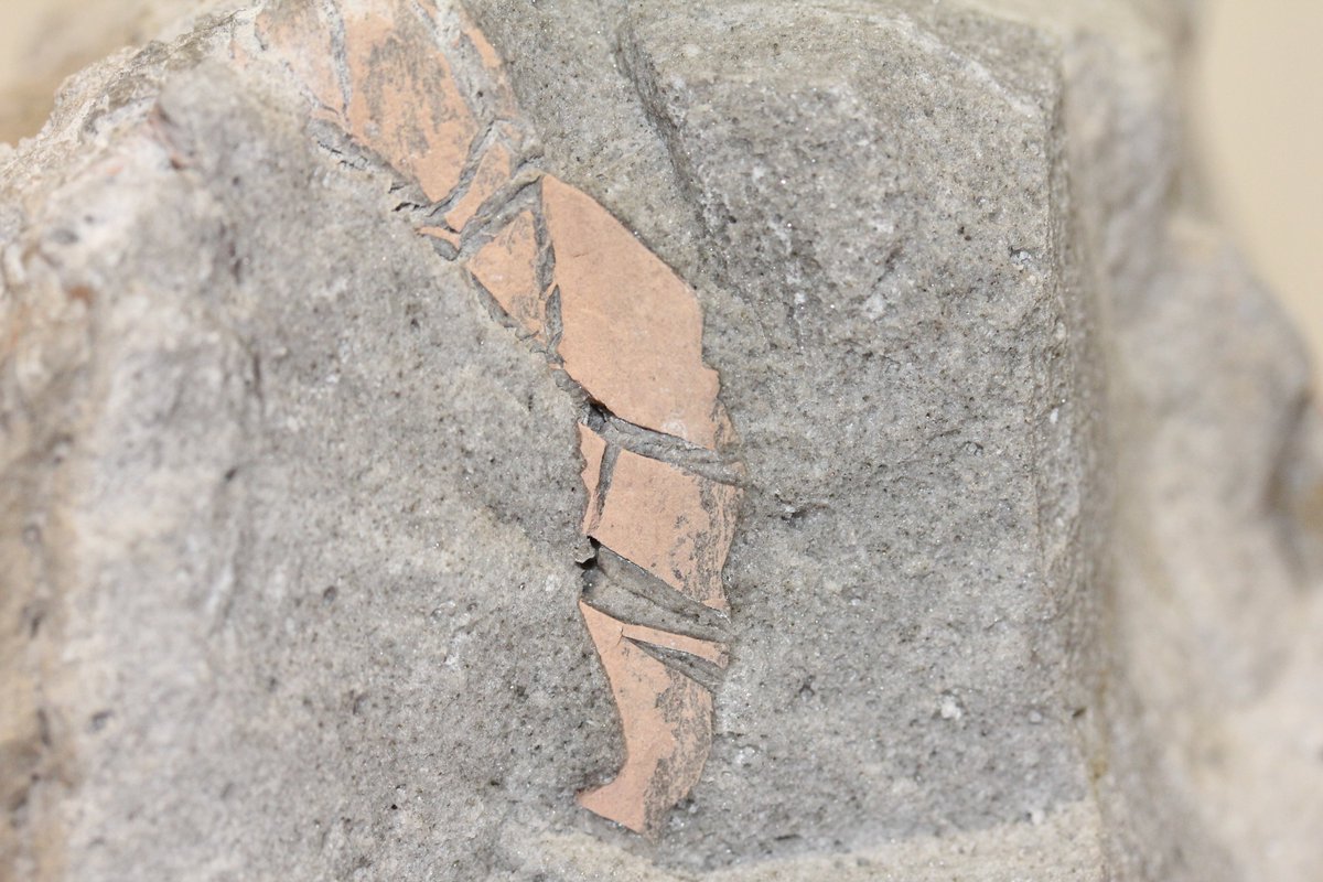 HTuffen's tweet image. Fun yesterday discussing breadcrust bombs w @Rockndoodles &amp;amp; @JacquelineOwen. Working paper title from MSc dissertation: "Mid-loaf crisis?"