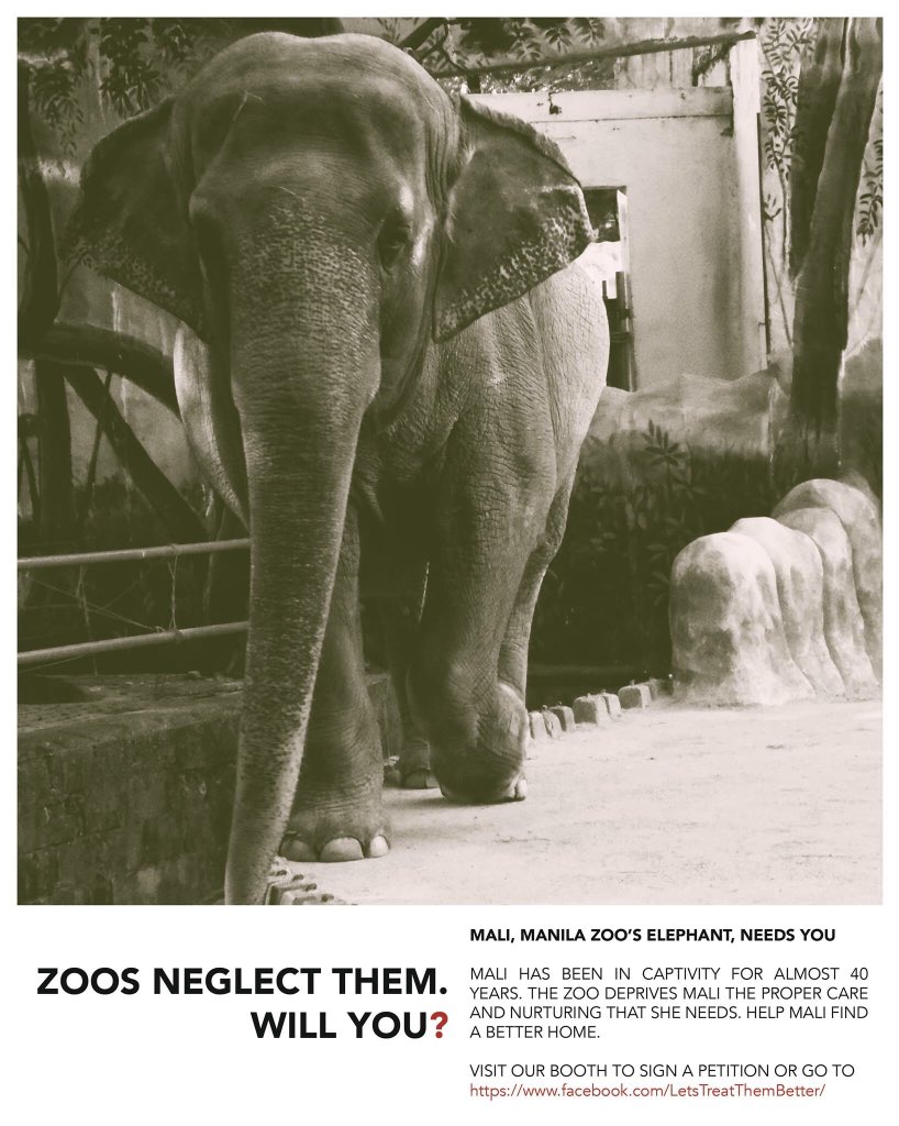 ReyesJiro's tweet photo. #SaveMali @triggersay https://t.co/2CS6vYvh5j