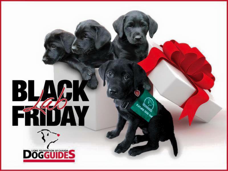 LFCDogGuides's tweet photo. It's not #BlackFriday, it's Black Lab Friday! Give the gift of independence: https://t.co/RHqu0J3Zdp https://t.co/bPXnJRTuBS