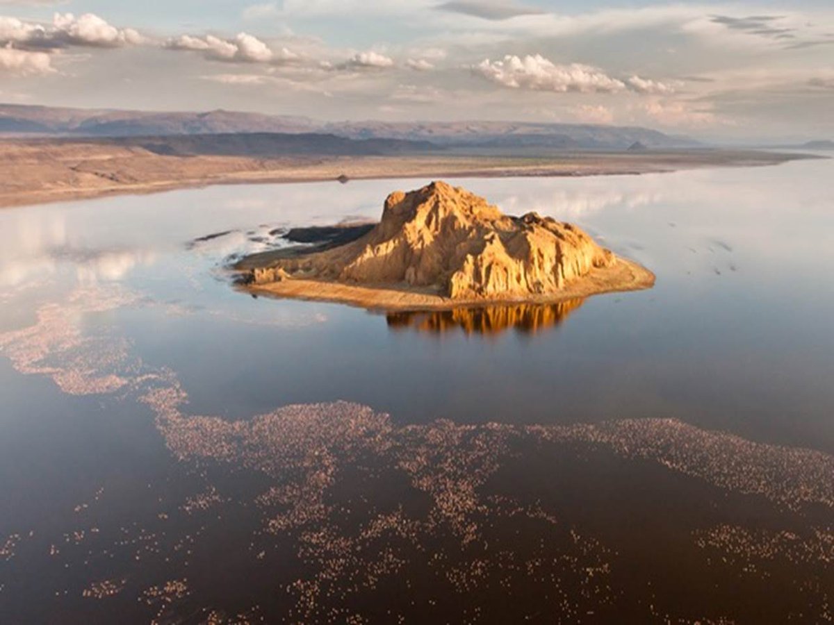 High praise for <a href="/SegeraRetreat/">Segera Retreat</a> from ace photographer <a href="/mpoliza/">mpoliza</a> - thank you Michael &amp; congrats Jens &amp; team! wilderness-safaris.com/blog/safari-al… #Kenya