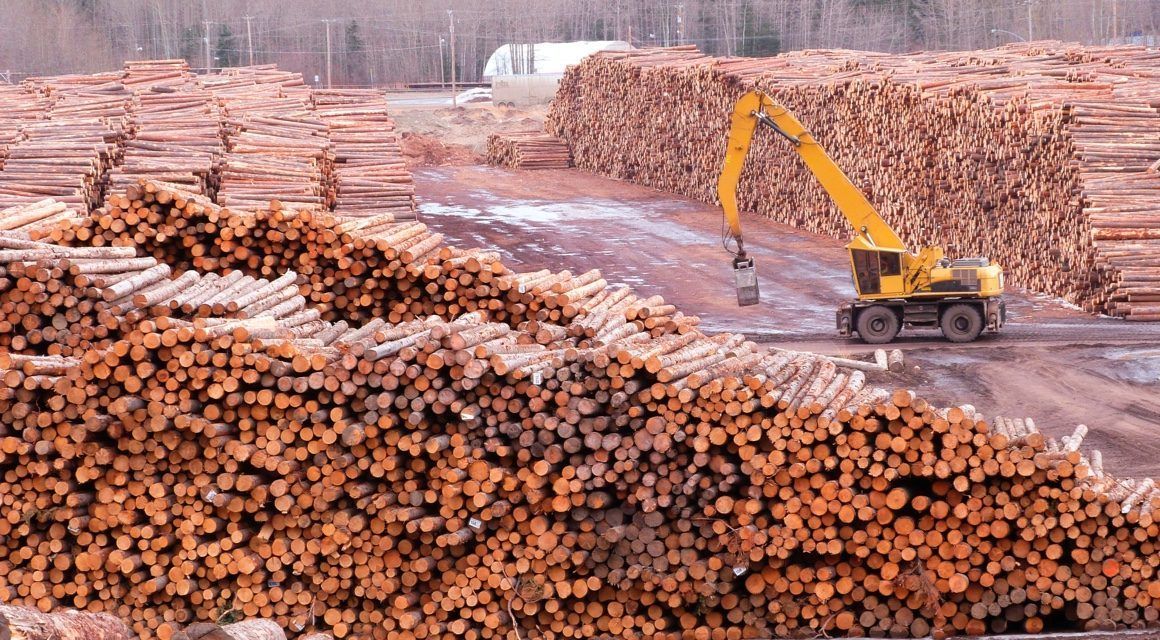 Any #forestry material that’s stacked in large piles can be measured by a <a href="/Kespry/">Kespry</a> #drone. buff.ly/2fXqoaZ