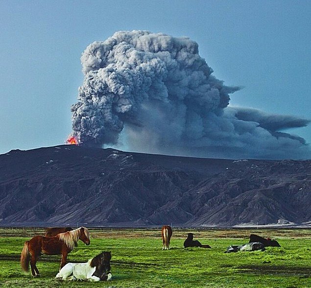 windiy oktaviani tweet media