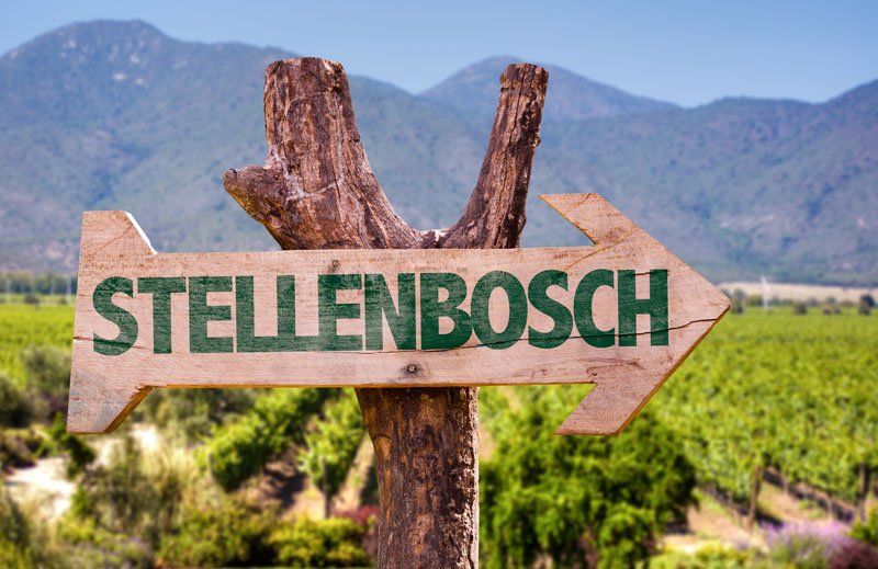 Why not join us on our Half Day #Winelands Tour taking place in the morning and enjoy the town of #Stellenbosch like never before!
#CapeTown