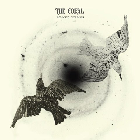 Pdthecoral's tweet photo. VOTE HERE! https://t.co/MUmzsMTX6k #DistanceInbetween @thecoralband https://t.co/l9FcdDK1NG