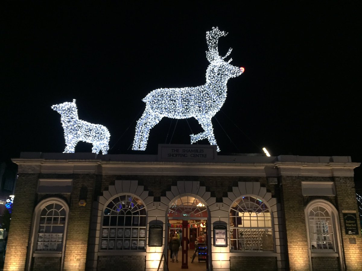 stocktonshams's tweet photo. Come see Rudolf and baby on The Shambles this festive period #XFactor #BlackFriday #Teesside https://t.co/BMCneYevwT