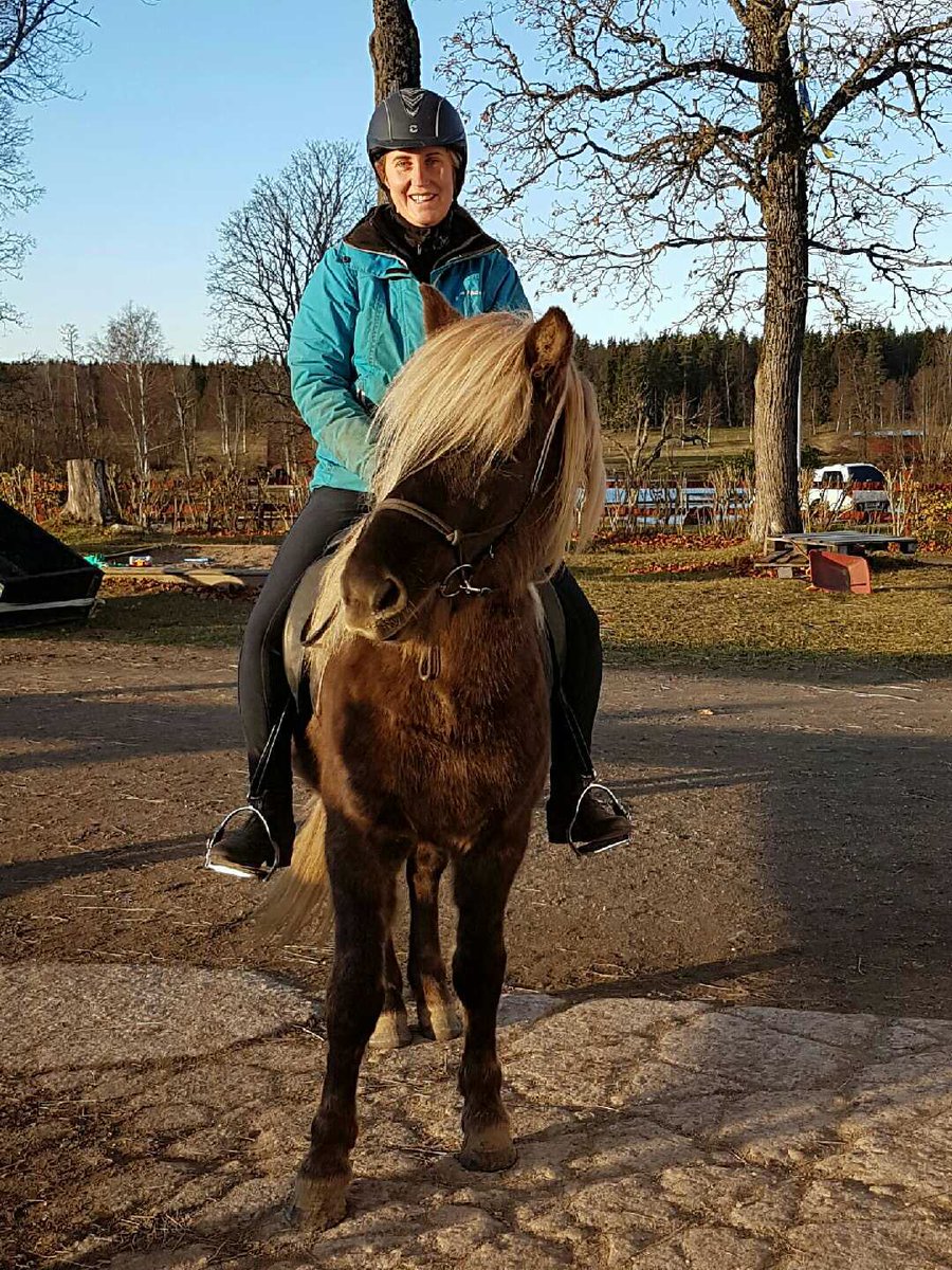 saraaandersson1's tweet photo. Legolas är under inridning &amp; helt fantastisk att jobba med! #EquineHour #equestrian https://t.co/pj2KsRAtlP