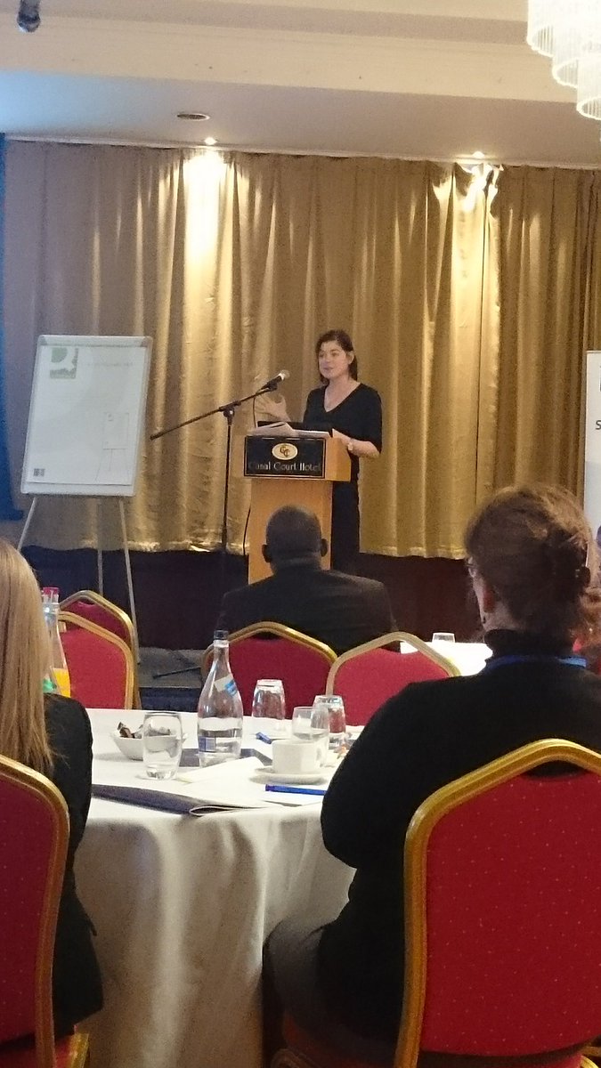 JDev65's tweet photo. Great presentation by @LouiseCrowley2 from UCC on developing &amp; delivering bystander intervention to students to change culture #respect2016 https://t.co/7jnMdLn0mq