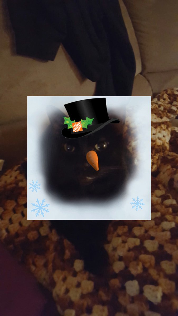 dsrusch's tweet photo. Check out the #HomeDepotSelfie I made with the Home Depot App https://t.co/gsqb5lXvzi https://t.co/YtSepInPgu