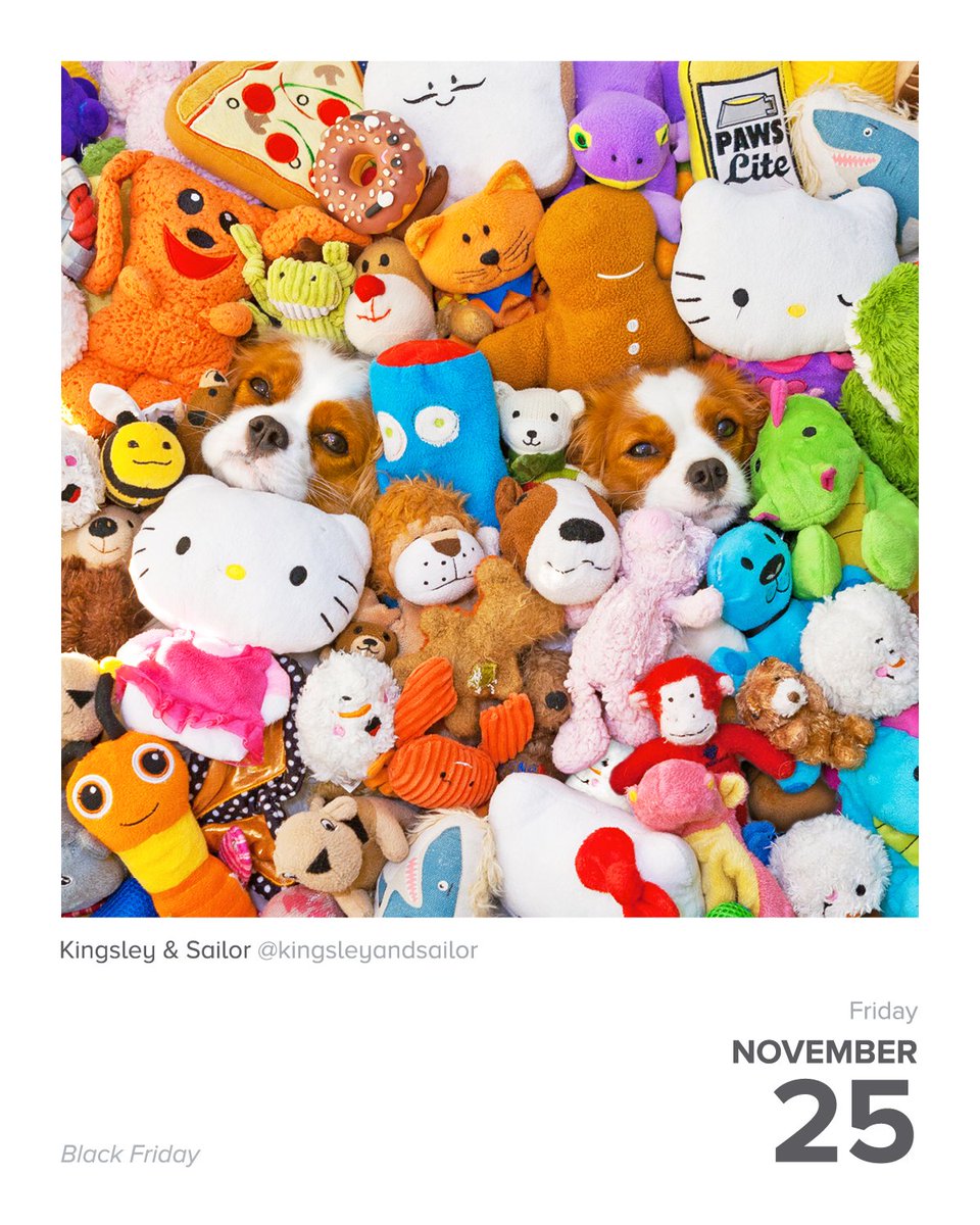 instagram's tweet photo. #DailyFluff
https://t.co/9wuqeEwZdq 🐾 https://t.co/P5oaebfMku