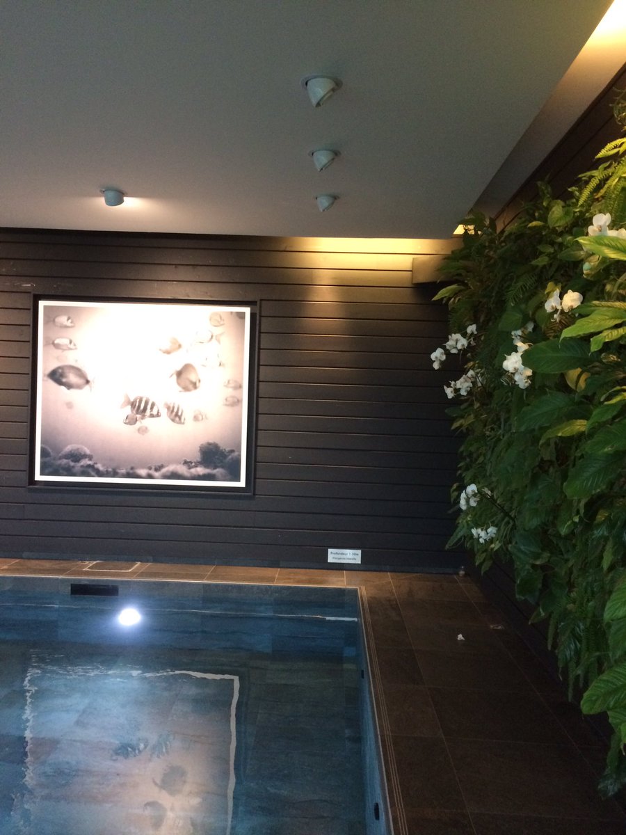 FairBooking's tweet photo. Magnifique @EcoHotelSpa #laGreedesLandes #eductour #ecoconcept @YvesRocherFR @Siteacteur_CRTB @Reseau_ATD #utd2016 #tourismedurable https://t.co/nyuTWVCIGD