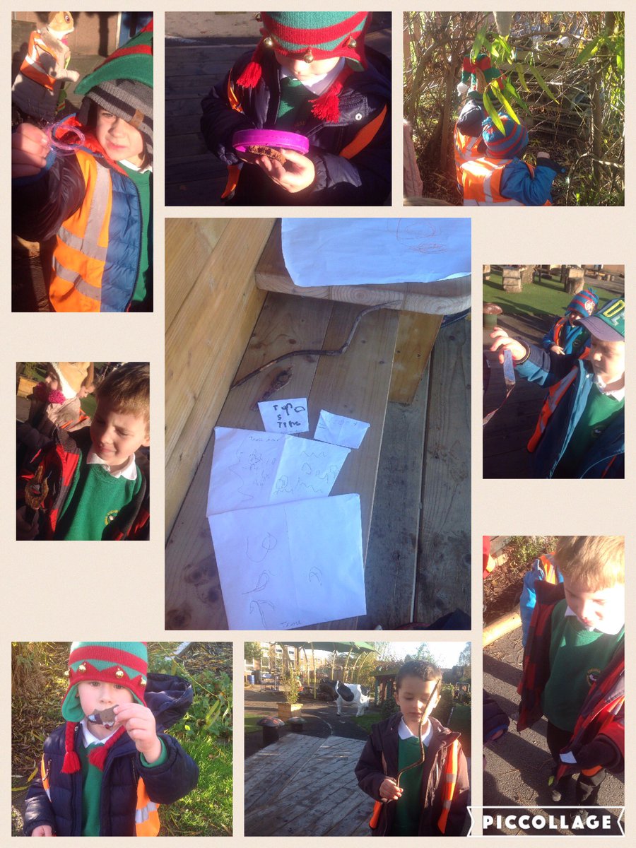 CHP_Pearl's tweet photo. This morning we found some troll hair. We then looked for clues around the outdoor area to see if we could find where the trolls live. https://t.co/j8IQWad2rJ