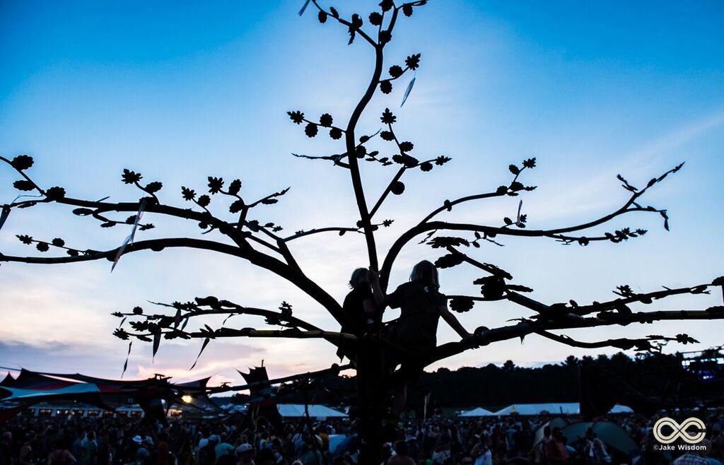 “Time spent amongst trees, is never wasted time” 📷:<a href="/jakewisdom/">Jake Wisdom</a>