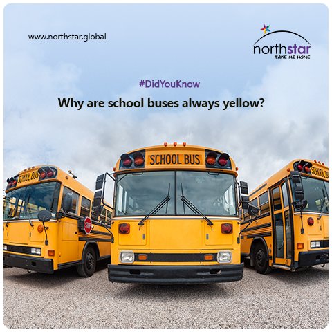 northstar_gbl's tweet photo. Have you ever wondered why school buses are yellow? #SchoolBusSafety #ChildSafety #keepthemsafe https://t.co/hqbQHPNuSU