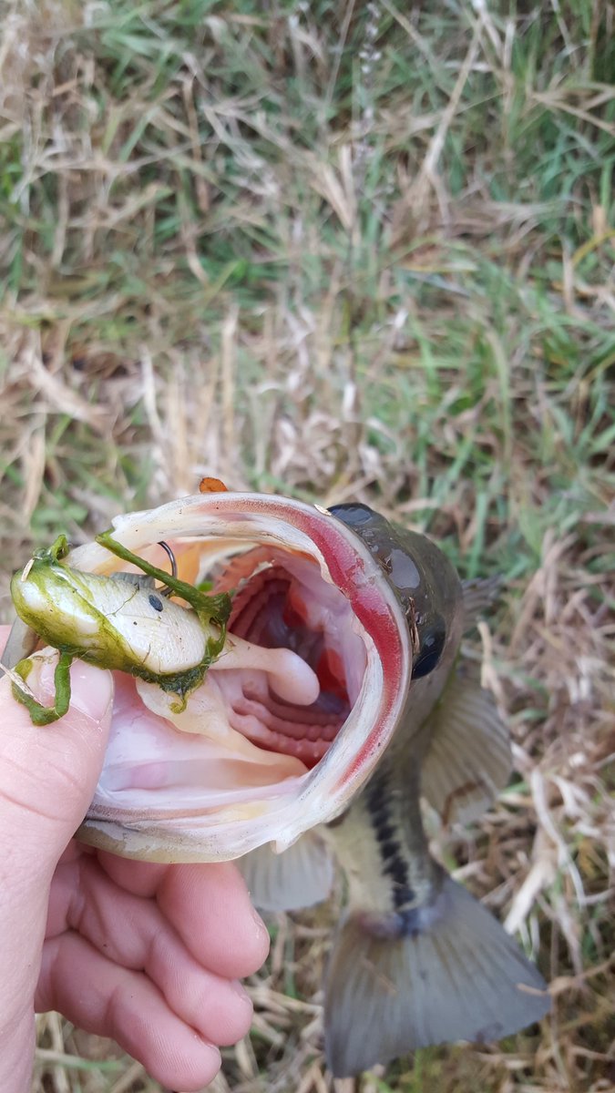 IowaBoys's tweet photo. Thankful for fishing and hunting!
#IBP #America https://t.co/xtv5fEqKLI