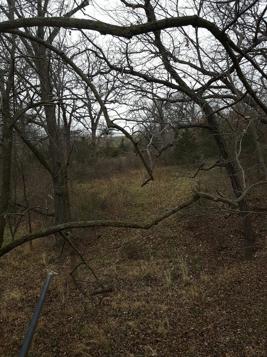IowaBoys's tweet photo. Thankful for fishing and hunting!
#IBP #America https://t.co/xtv5fEqKLI
