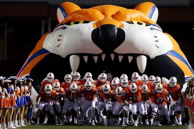 pattiejgriffin's tweet photo. Let's do this! @AngryOrangeCats #centralcats https://t.co/ScAy46hoRN