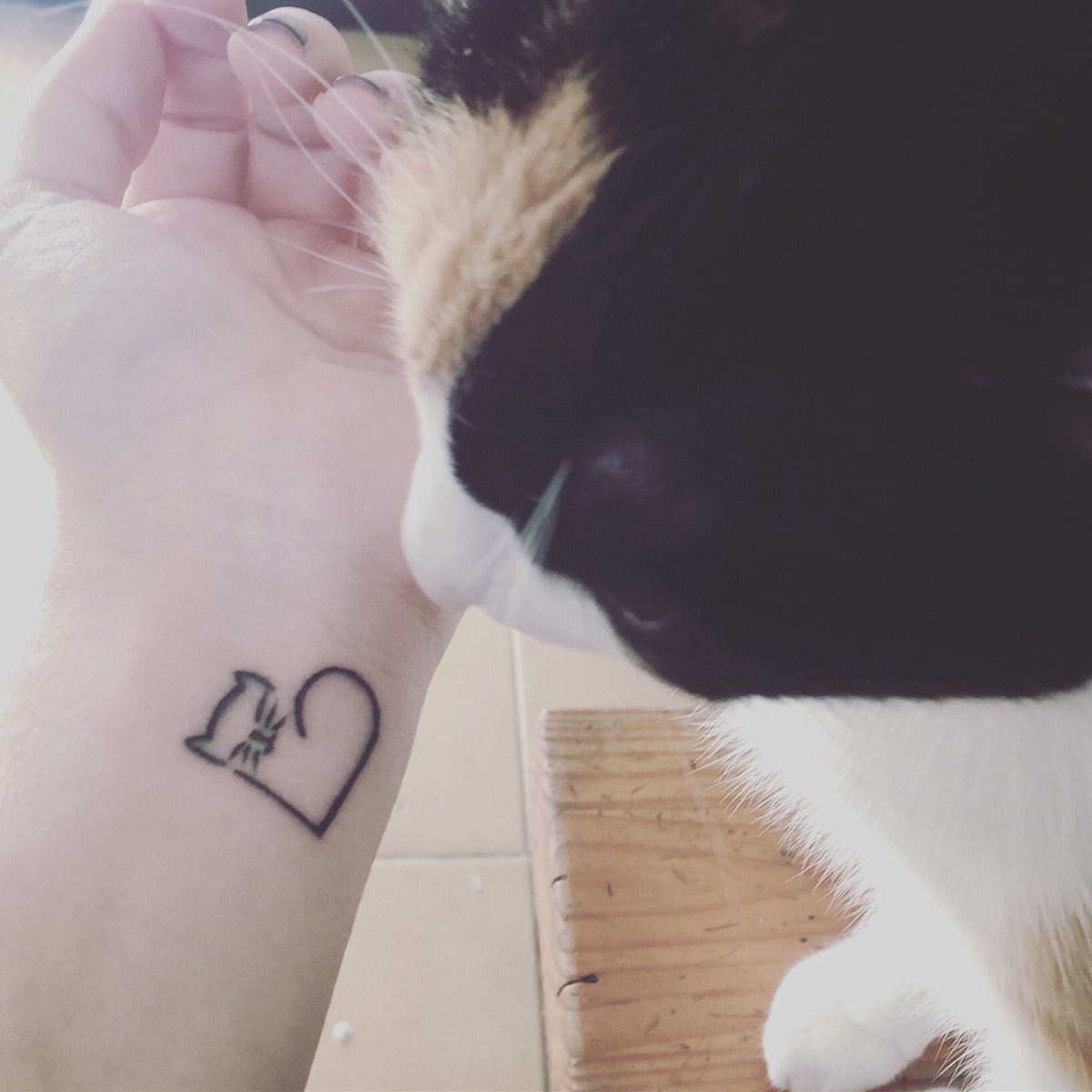 cami_prie's tweet photo. Creo que se van a llevar muy bien!!  @BlueRoseTattooParlour @AsturWagen #regalopresentacionQ2Gijón #Q2 https://t.co/bhHEUyJjyr