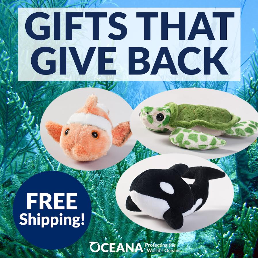 oceana's tweet photo. Give the gift that gives back. "Adopt" an animal from our store on #BlackFriday and secure FREE shipping! https://t.co/bfCcuX4Skv https://t.co/ssZO2RI5O0