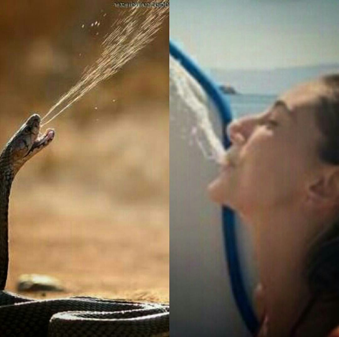 ikiside yilan ikiside zehirli 🐍 #seymasubasi #gecmisinisilemezsin #millimetres