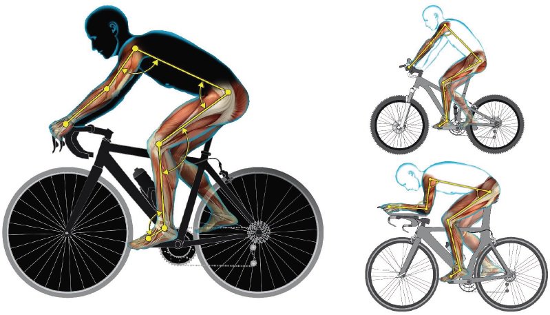 m_entrenamiento's tweet photo. Importancia de la postura en la bicicleta https://t.co/RPc7KNeV3K https://t.co/JWSxyVeybb