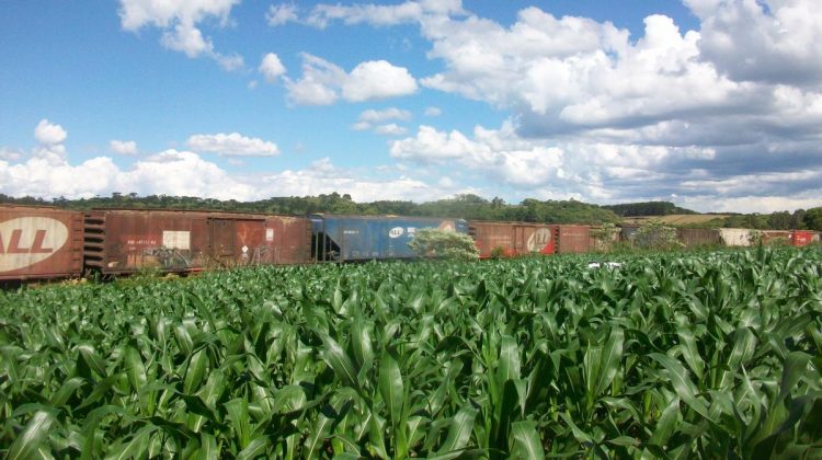 Nueva red ferroviaria demandará US$ 450 millones de inversión elagro.com.py/politica/nueva…