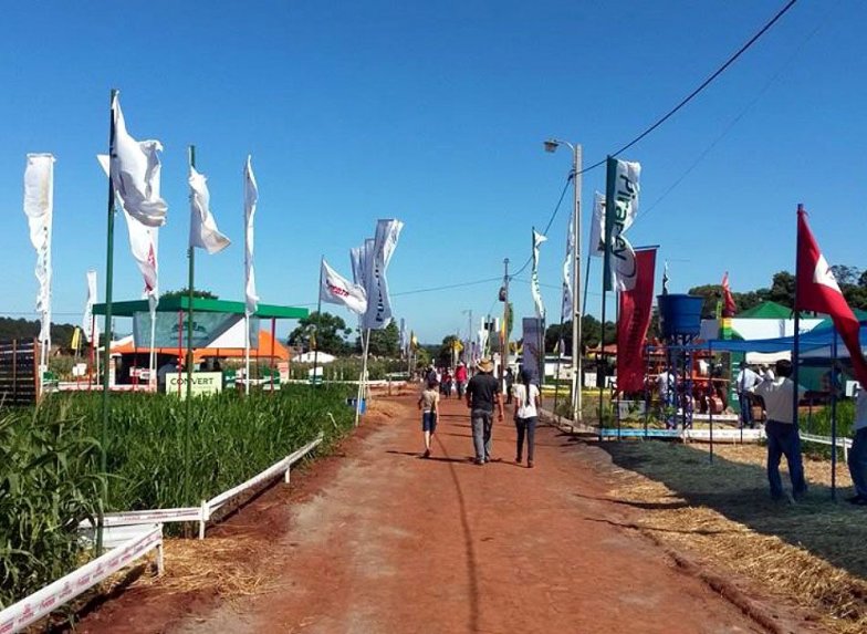 Preparativos para Agrodinámica están listos en Hohenau elagro.com.py/agricultura/pr…