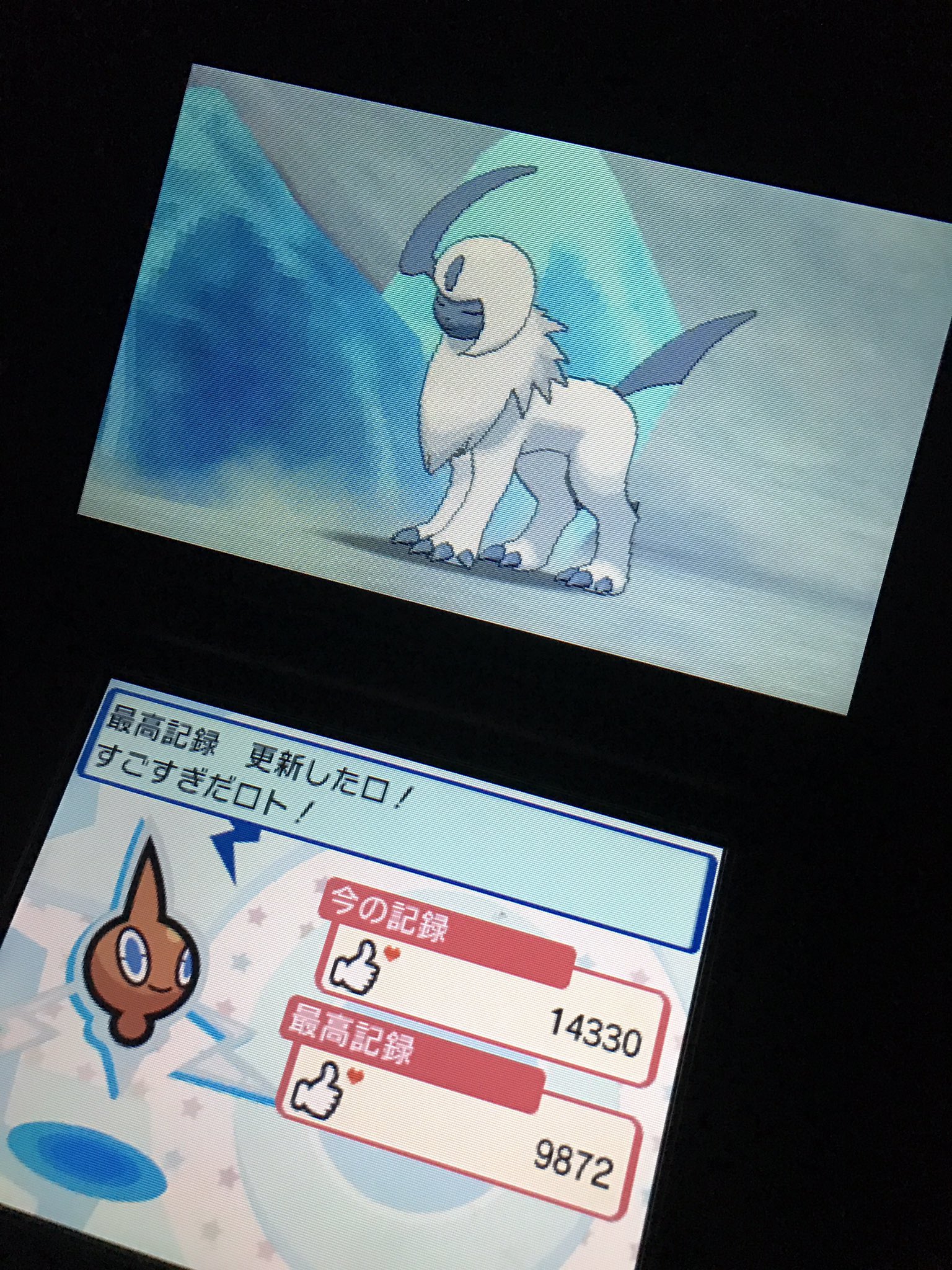 きゅにお ポケスナッパー 深夜の一枚 おやすみ アブソル この一枚で最高記録を大きく更新 ポケモンサンムーン ポケファインダー T Co Hz2zsg66sj Twitter