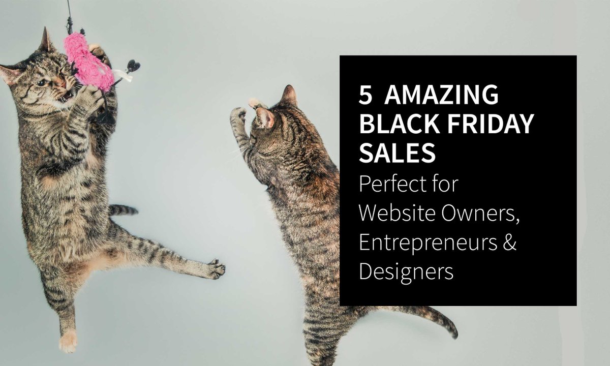 CraftandConquer's tweet photo. AMAZING BLACK FRIDAY SALES | Woocommerce, Easy Digital Downloads, Beaver Builder, WP Courseware &amp; Tsohost. GET TODAY https://t.co/TNCPhDYv44 https://t.co/x7fgT6BLVt