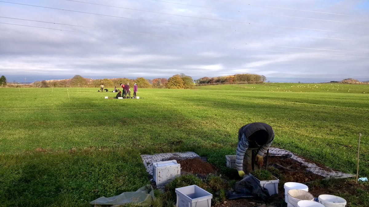 Richard Grayson (@rggeo) on Twitter photo Great <a href="/WRSusAg/">White Rose Sus. Ag.</a> teamwork to collect #SoilBioHedge monoliths for drought and flood manipulation @SheffieldAPS! <a href="/SusannahBird/">Dr Susannah Bird</a> <a href="/MarkEHodson/">Mark Hodson #UCU got your pension back for you</a> Great <a href="/WRSusAg/">White Rose Sus. Ag.</a> teamwork to collect #SoilBioHedge monoliths for drought and flood manipulation @SheffieldAPS! <a href="/SusannahBird/">Dr Susannah Bird</a> <a href="/MarkEHodson/">Mark Hodson #UCU got your pension back for you</a>